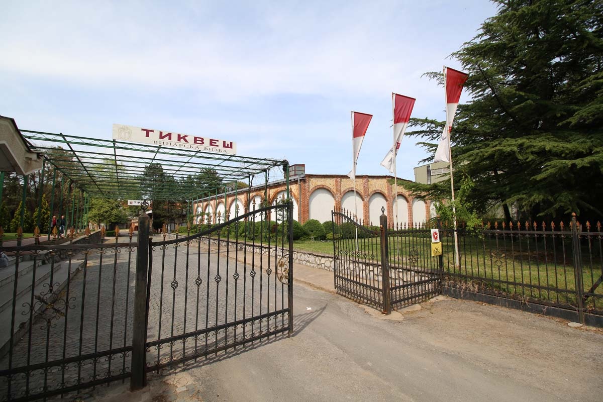 Тиквеш: Годинава ќе откупиме 30 милиони килограми винско грозје – цената е повисока!