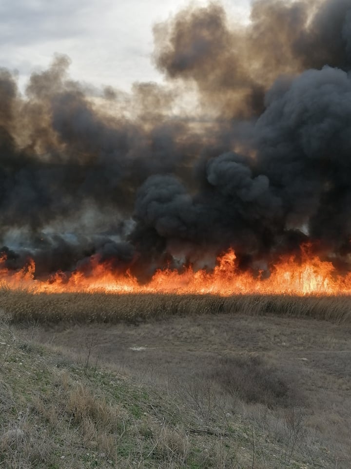 Пожар  кај Рибарци