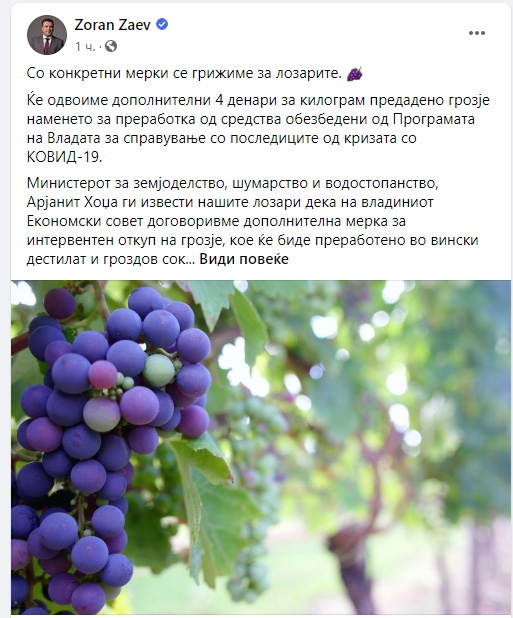 Заев: Со конкретни мерки се грижиме за лозарите