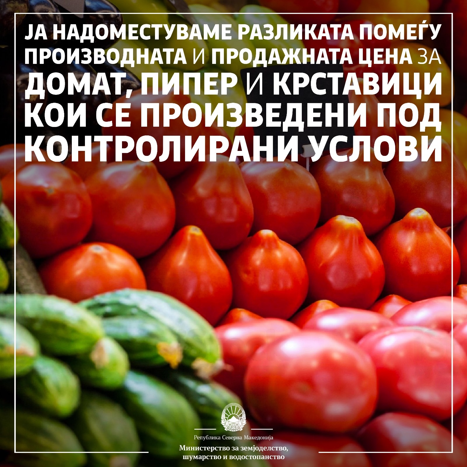 Николовски: Финансиска поддршка за продадени количини домат, пипер и краставица