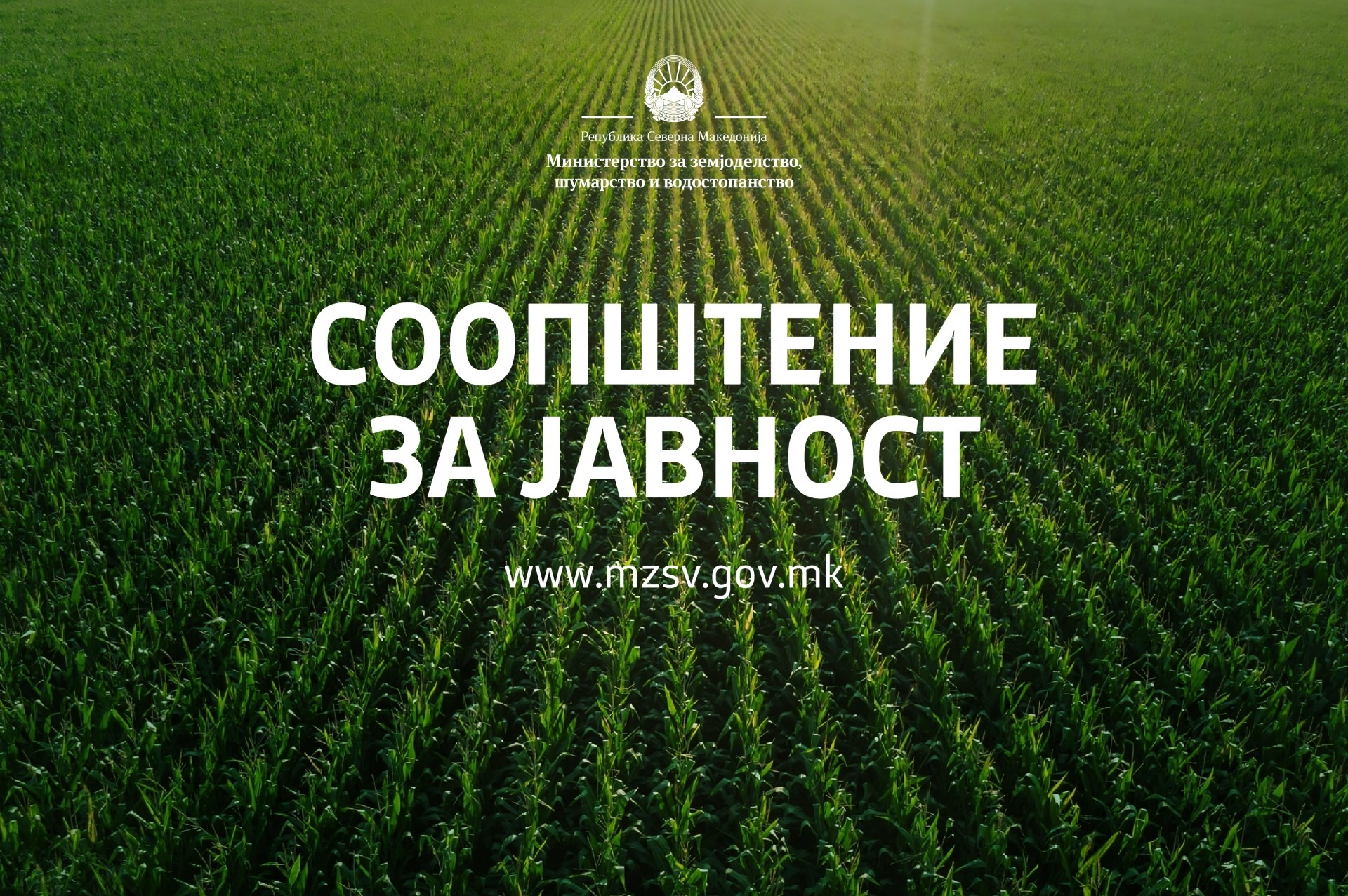 МЗШВ: Ниту еден лозар нема да биде оставен сам, обезбедена поддршка за прозиведеното винско и трпезно грозје