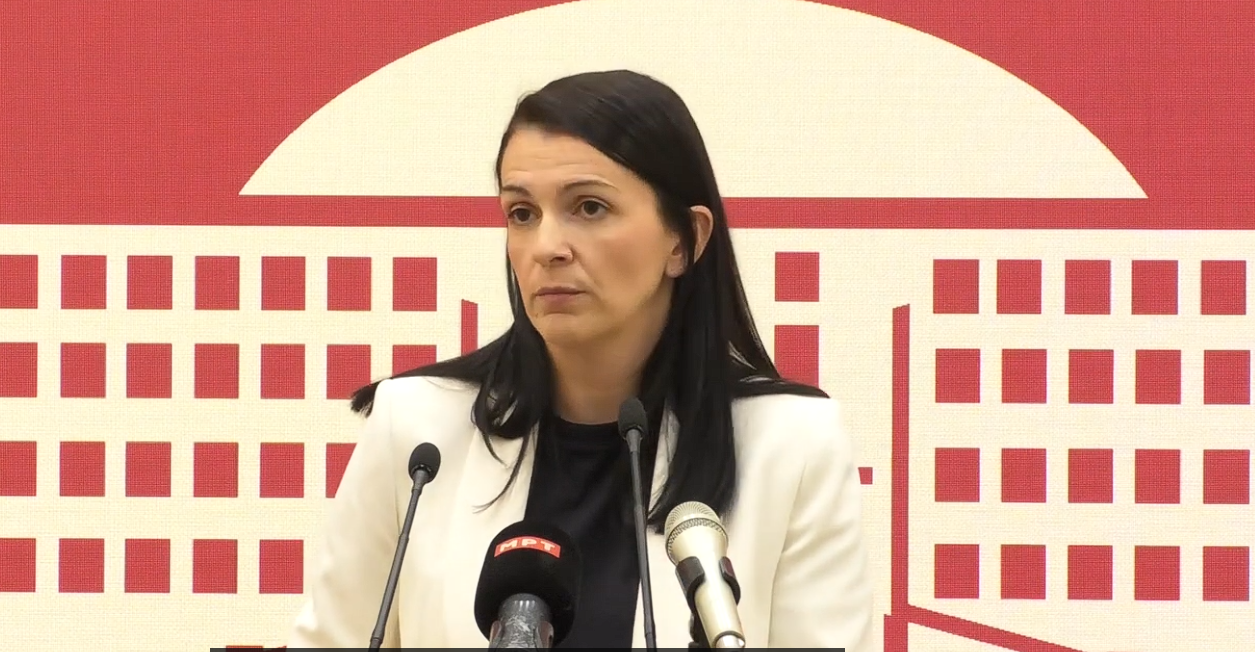 СДСМ: Бараме повлекување на криминалниот закон за Скопје2028 – ова е легализација на корупција (видео)