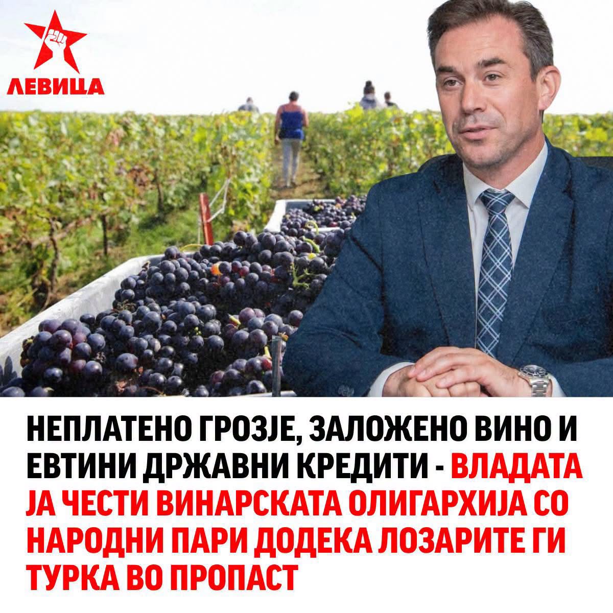 Левица: Неплатено грозје, заложено вино и евтини државни кредити – Владата ја чести винарската олигархија со народни пари додека лозарите ги турка во пропаст